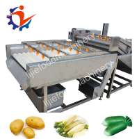 Fruit and Vegetable Brush Washing Cleaning Machine for Potato Carrot