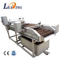 Vegetable washing machine/Date brush washing machine