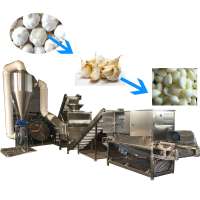 HONEST Garlic Processing Line / Garlic Peeling Machine Production Line For Sale industrial garlic peeling machine