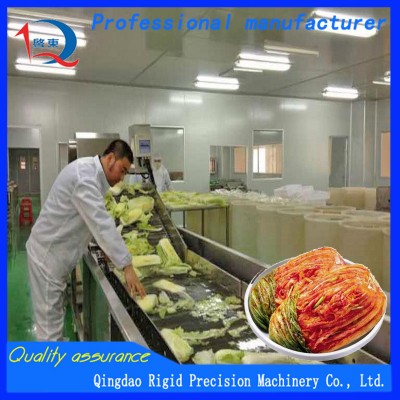 Kimchi Equipment Chinese Cabbage Desalting Machine