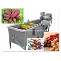 Industrial Stainless Steel Washing Machine with Brush Roller